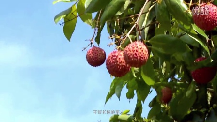 资阳最新资讯动态速递