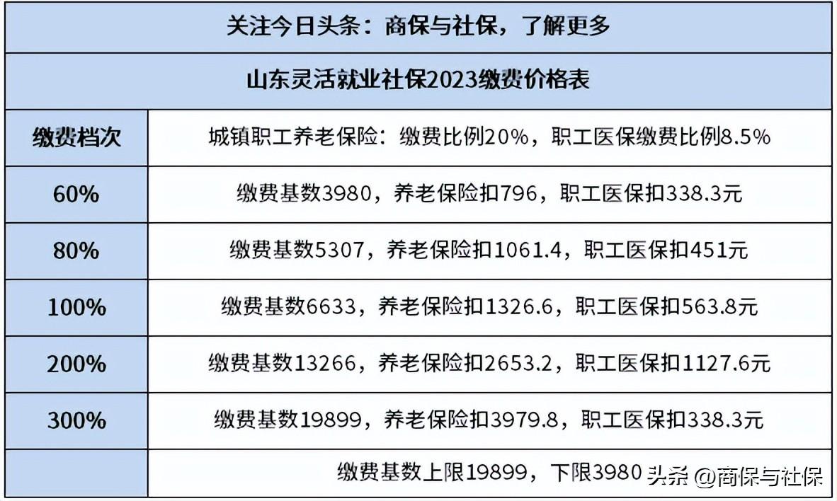 青岛企业养老金调整最新动态揭秘🌟