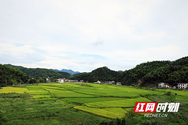株洲县淦田镇官塘最新规划，科技重塑乡村，体验未来乡村生活新篇章