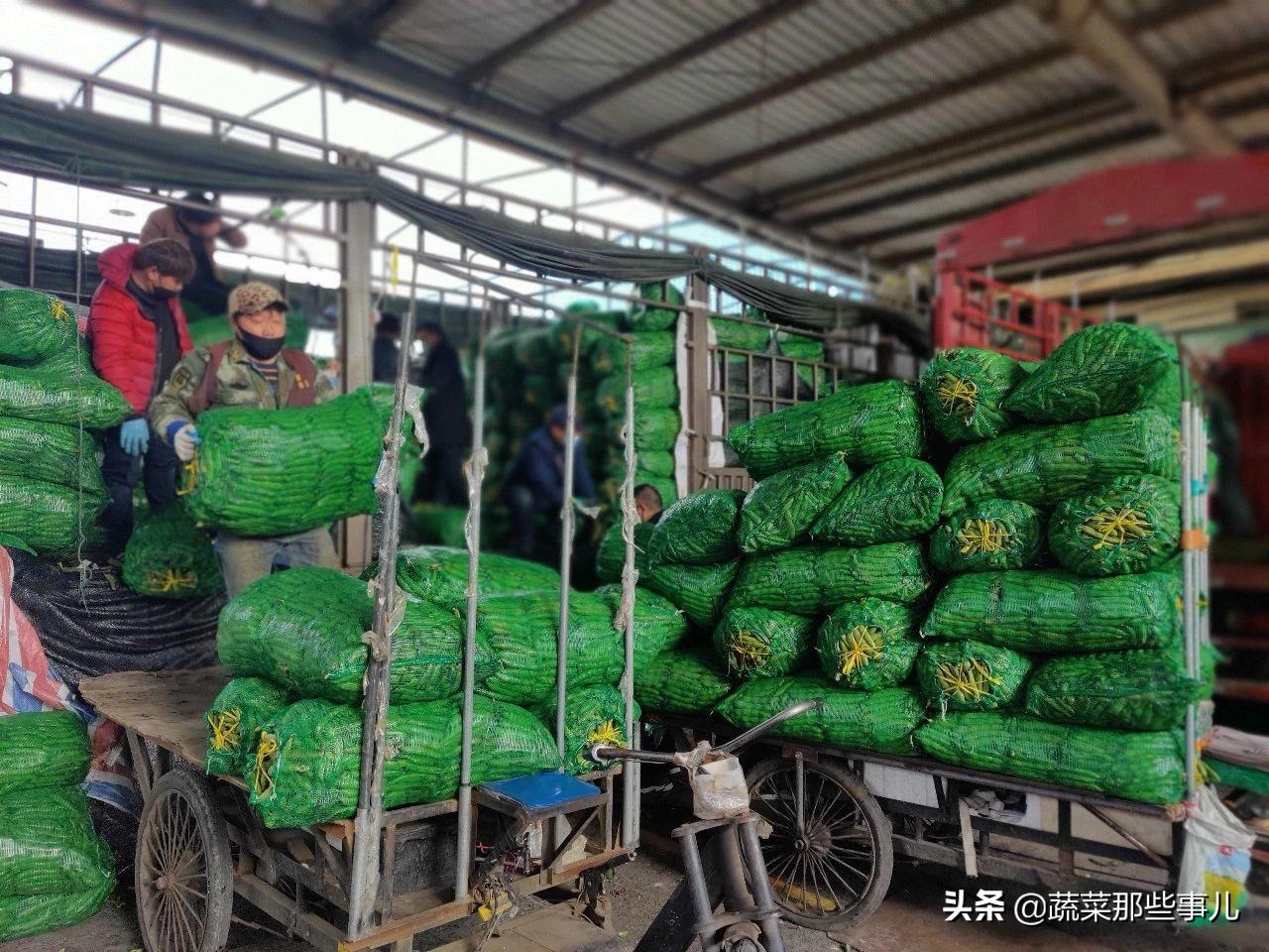 蚕豆价格，历史背景、关键事件与领域地位的深度解析
