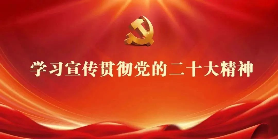党的最新政策解读与学习指南，政策理解与任务实践的双重路径探索