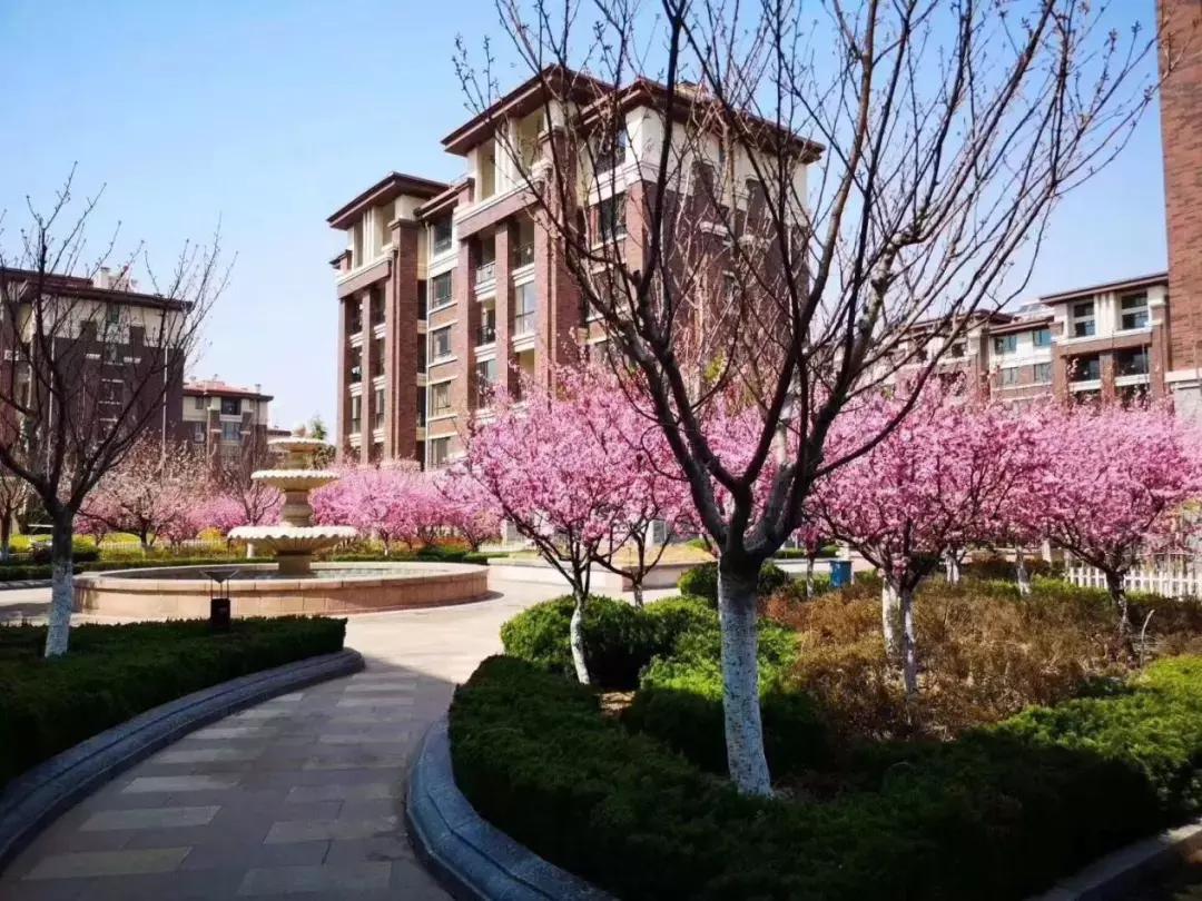 荣成最新房屋出租，科技重塑居住体验