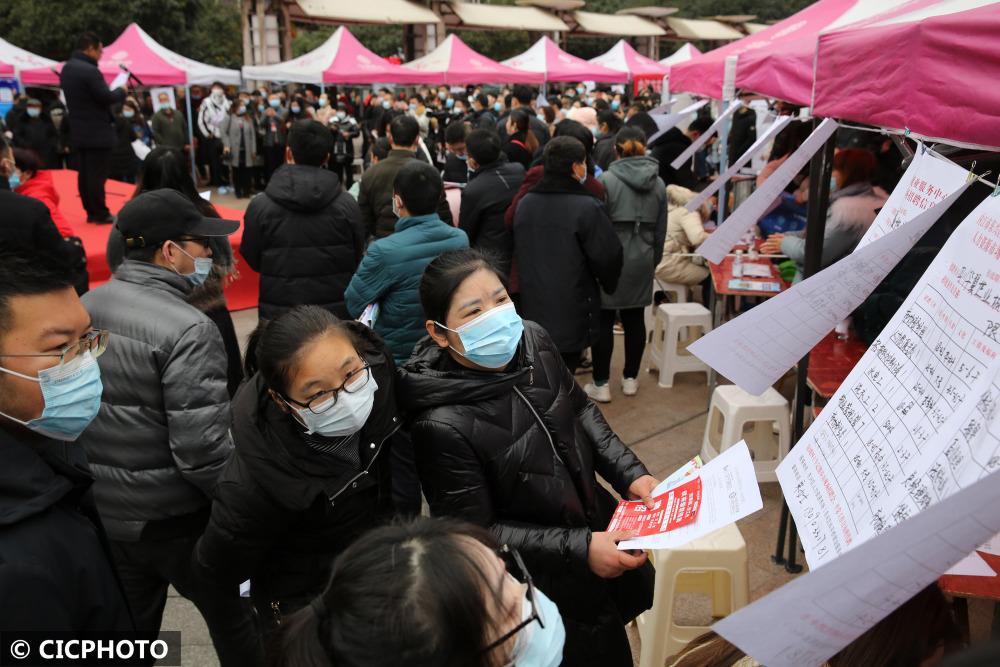 东兴市最新职位招聘详解，求职全步骤指南