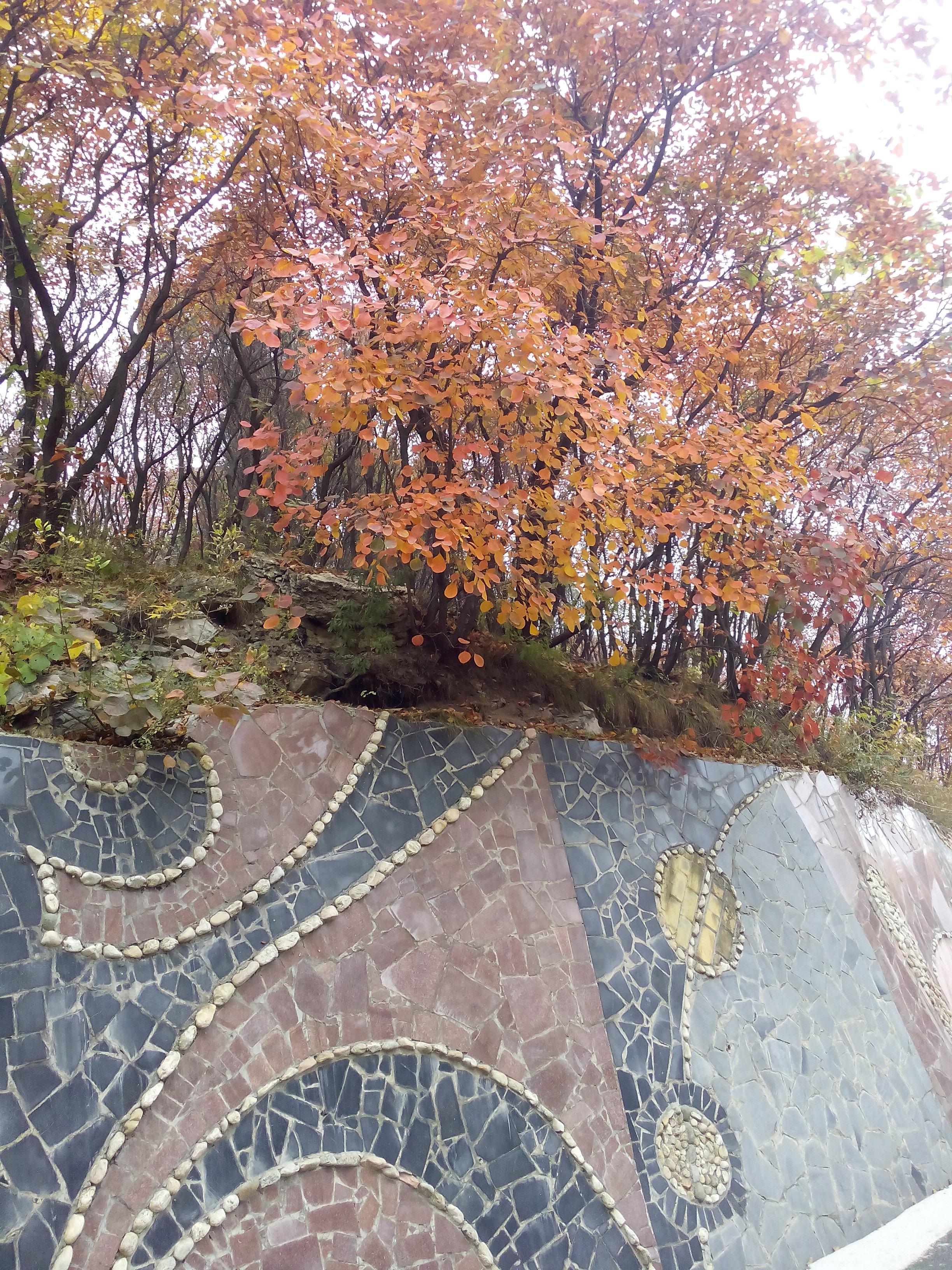 济南红叶谷门票价格，自然美景之旅的邀请函
