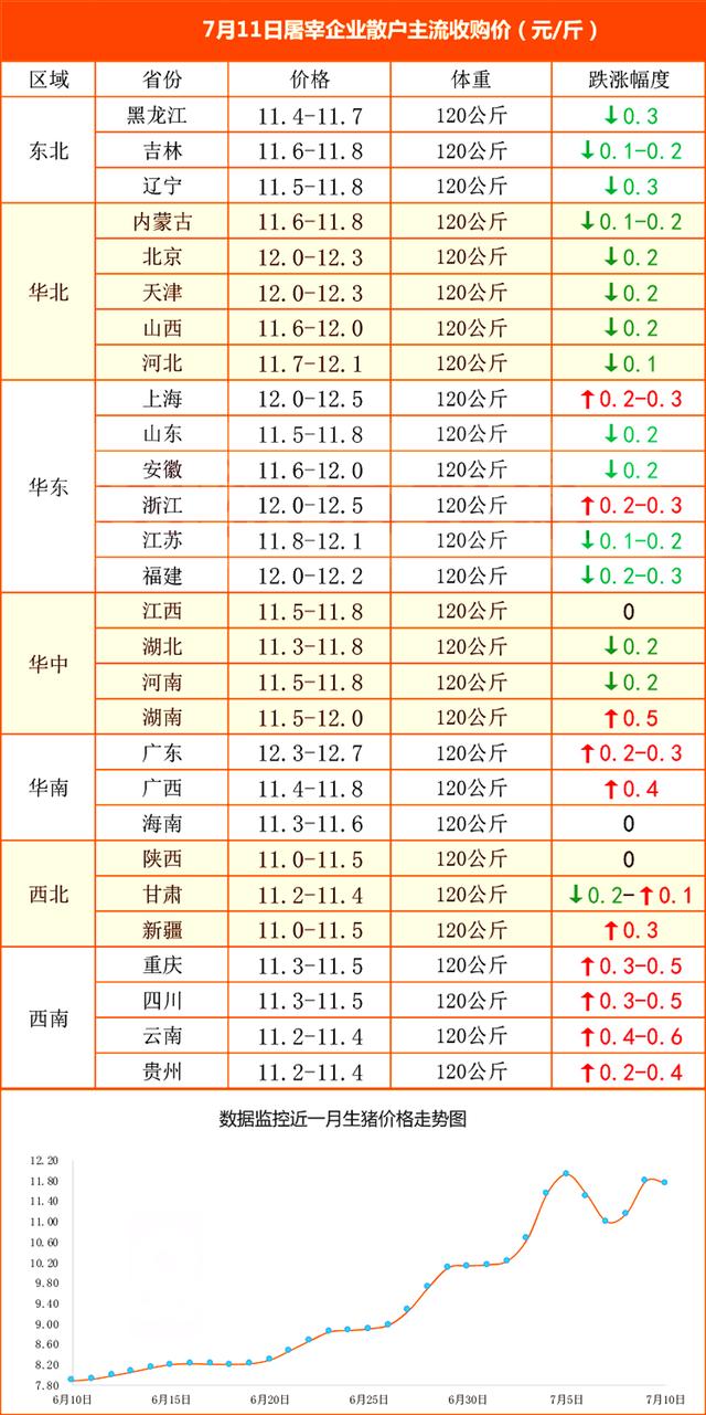 养猪市场风云变幻，一场不期而遇的温情之旅