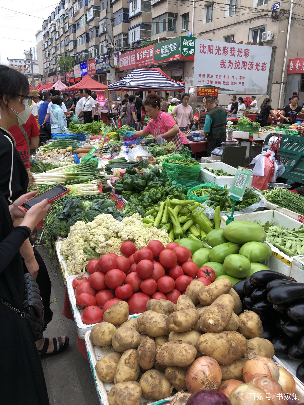 沈阳蔬菜行情，科技引领新鲜食材之旅的探究
