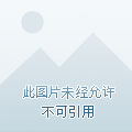 蓝帆医疗，小巷深处的股市宝藏与医疗价值探索