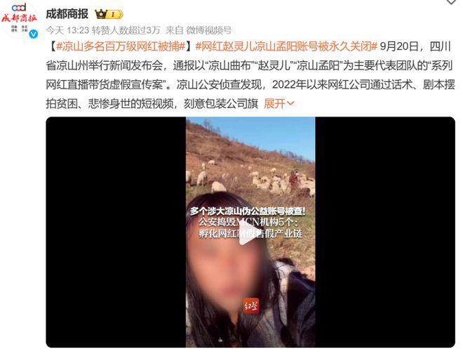 商务信息咨询 第7页